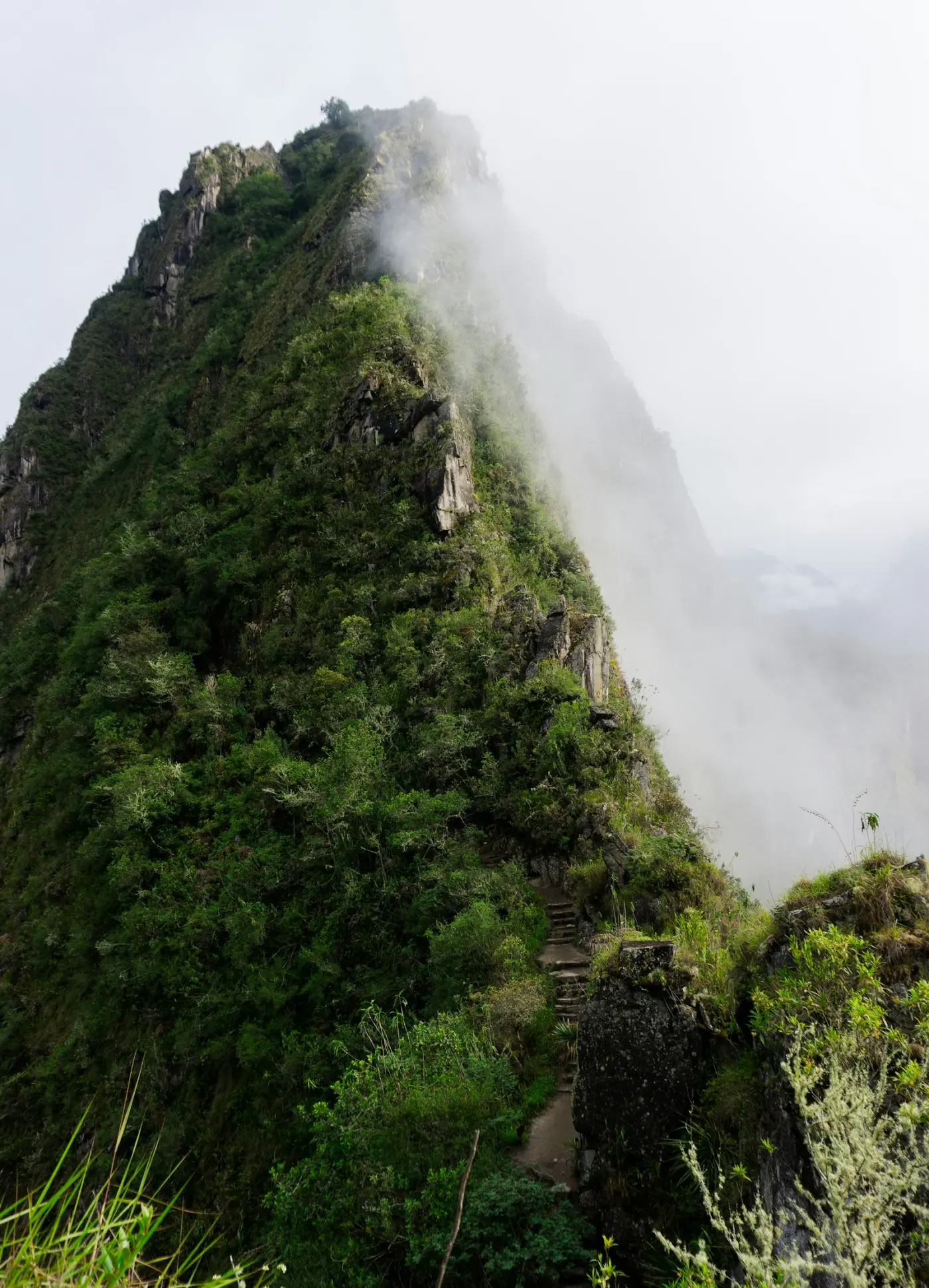 Cloud forest waterfall